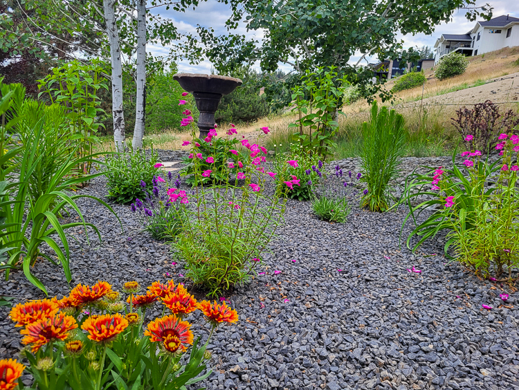 Jim and Mary - Flowers 1