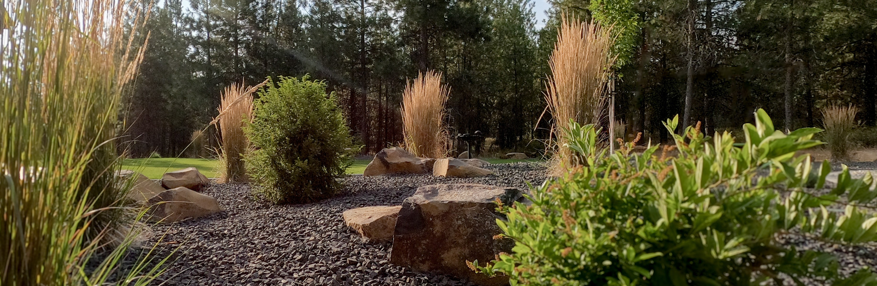 Xeriscape Hero 2